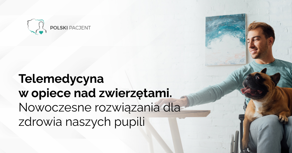 Telemedycyna w opiece nad zwierzętami. Nowoczesne rozwiązania dla zdrowia naszych pupili
